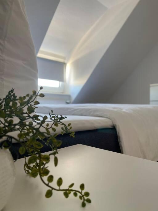 Gemuetliche, Helle Wohnung In Paderborn Zewnętrze zdjęcie